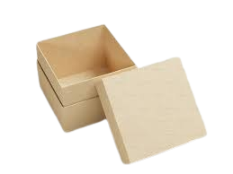 images 1 removebg preview